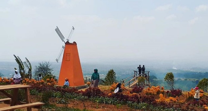 foto